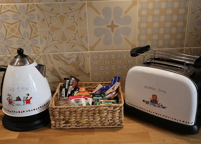 蓝莓公寓 * 克拉科夫